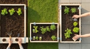 build on soil lawn concrete