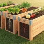 raised bed depths 6 24
