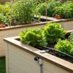 raised bed irrigation guide